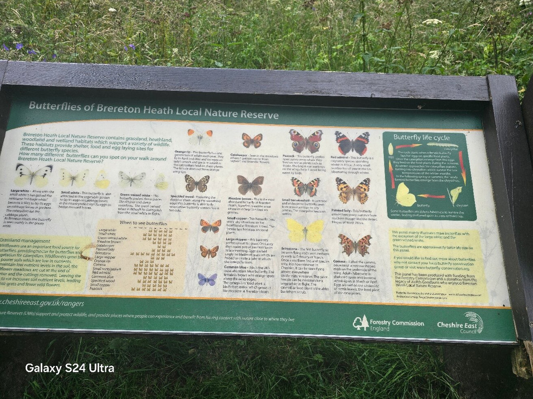 Brereton Heath Local Nature Reserve-Sandbach必去景点