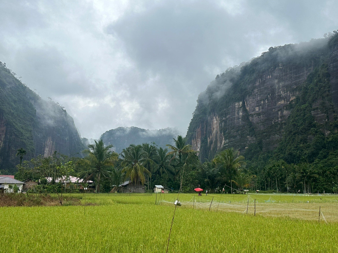 Harau Canyon景点图片