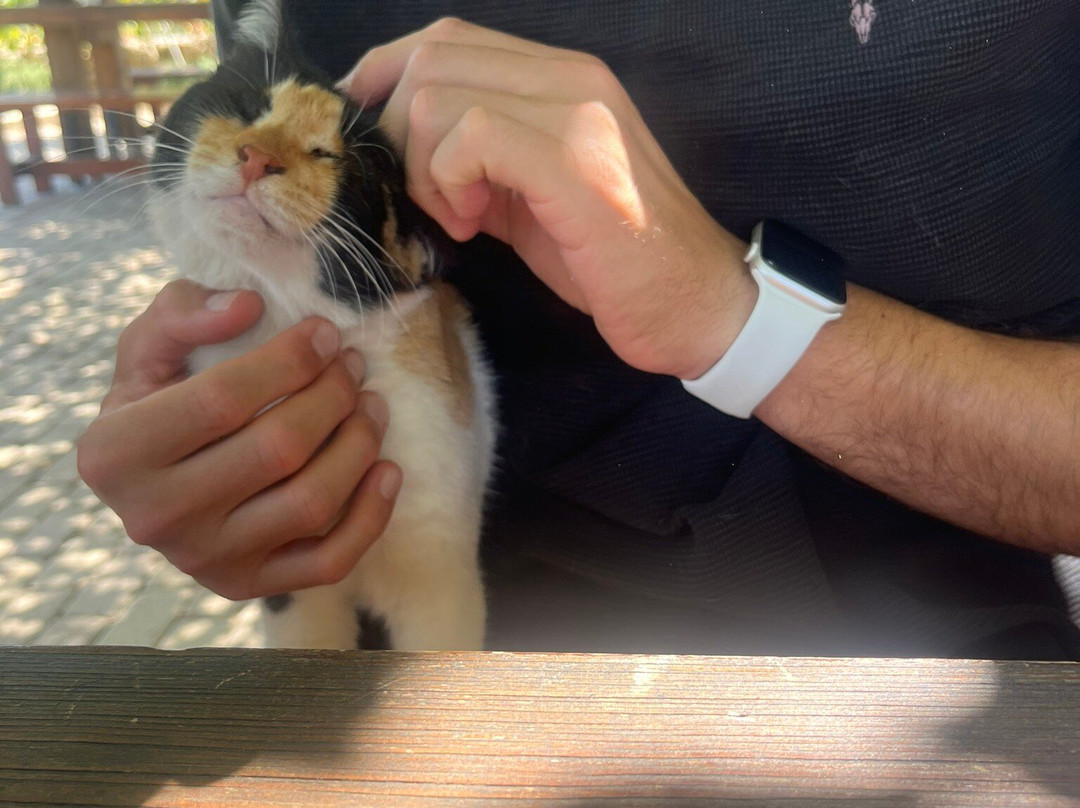 Sclavos Wines-Lixouri必去景点