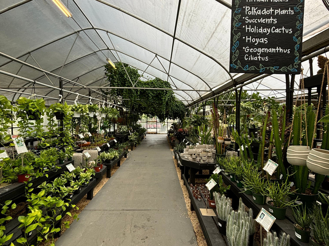 Dothan Nurseries Greenhouse, Gardens, and Gifts-多森必去景点