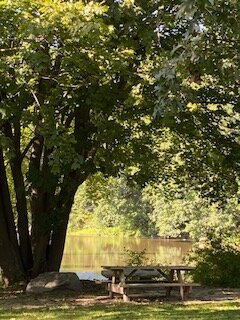 Grist Mill Park-Yarmouth必去景点