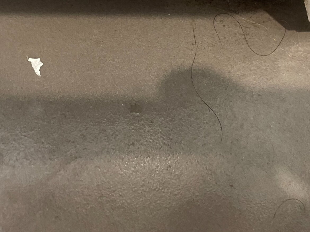 The Grapevine Motel主图