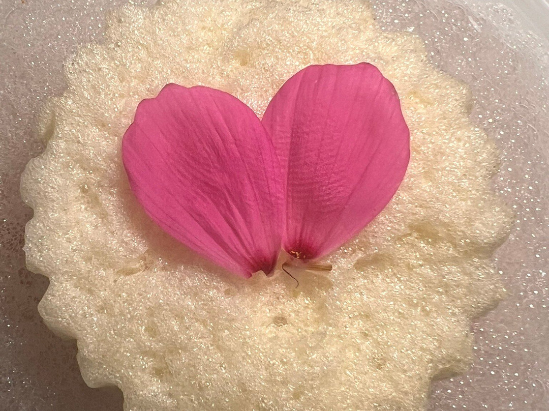 Hôtel de Bouilhac主图