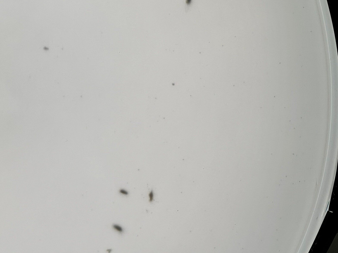 Hampton Inn & Suites Fremont主图