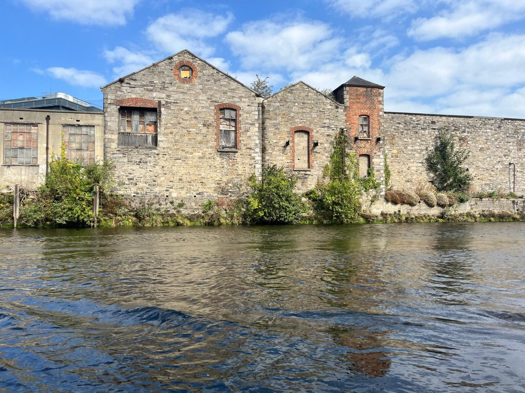 City Kayaking-都柏林必去景点