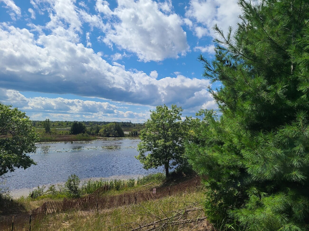 Island Park & Wildlife Sanctuary景点图片