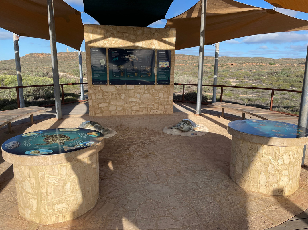 Jurabi Turtle Centre-埃克斯茅斯必去景点