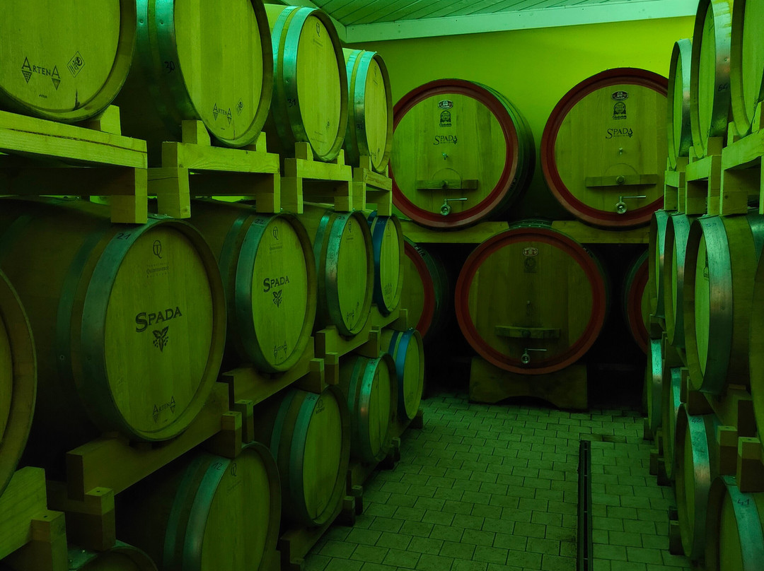 Azienda Agricola Cantina Spada景点图片
