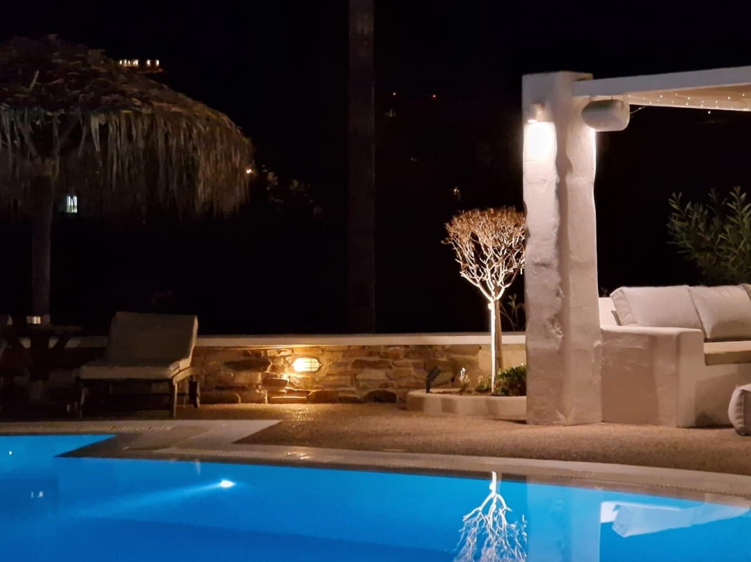 Olga's Pension主图