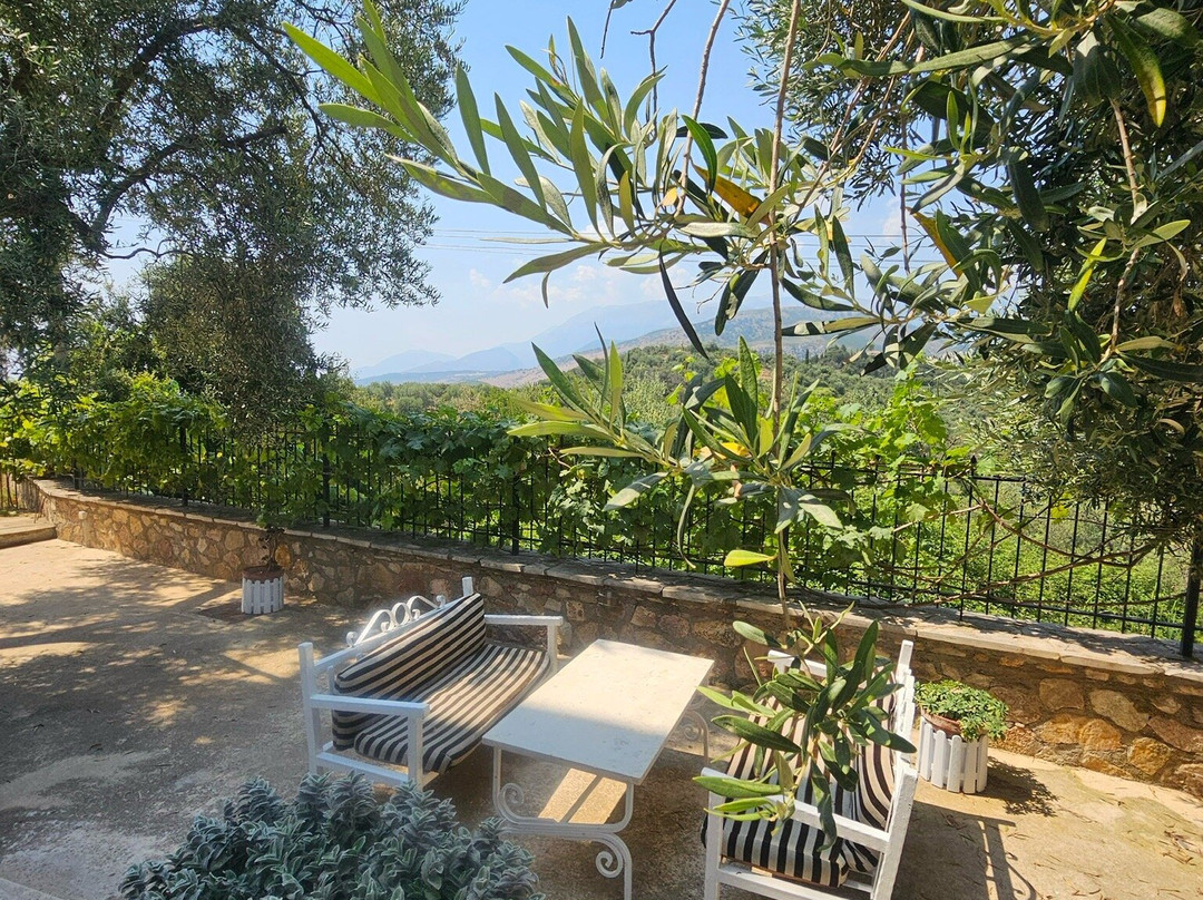 Mihalis Apartments主图