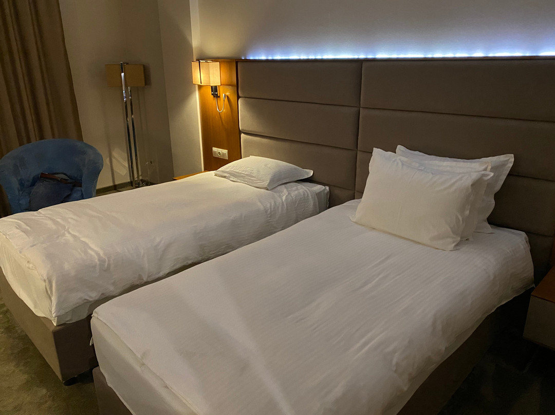 瓦尔纳金色郁金香酒店主图