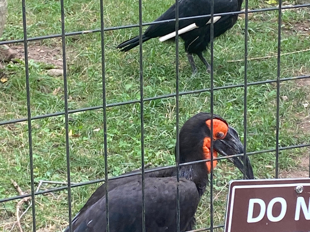 Potawatomi Zoo-南本德必去景点