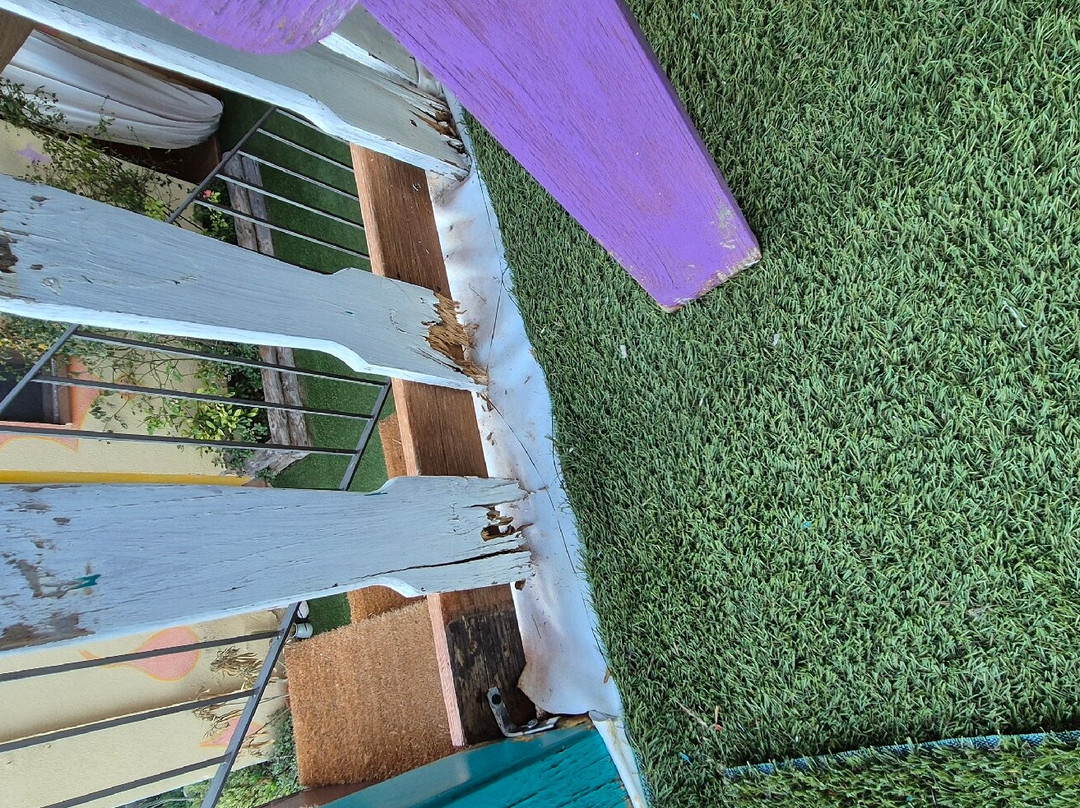 La Jayma del Arte主图