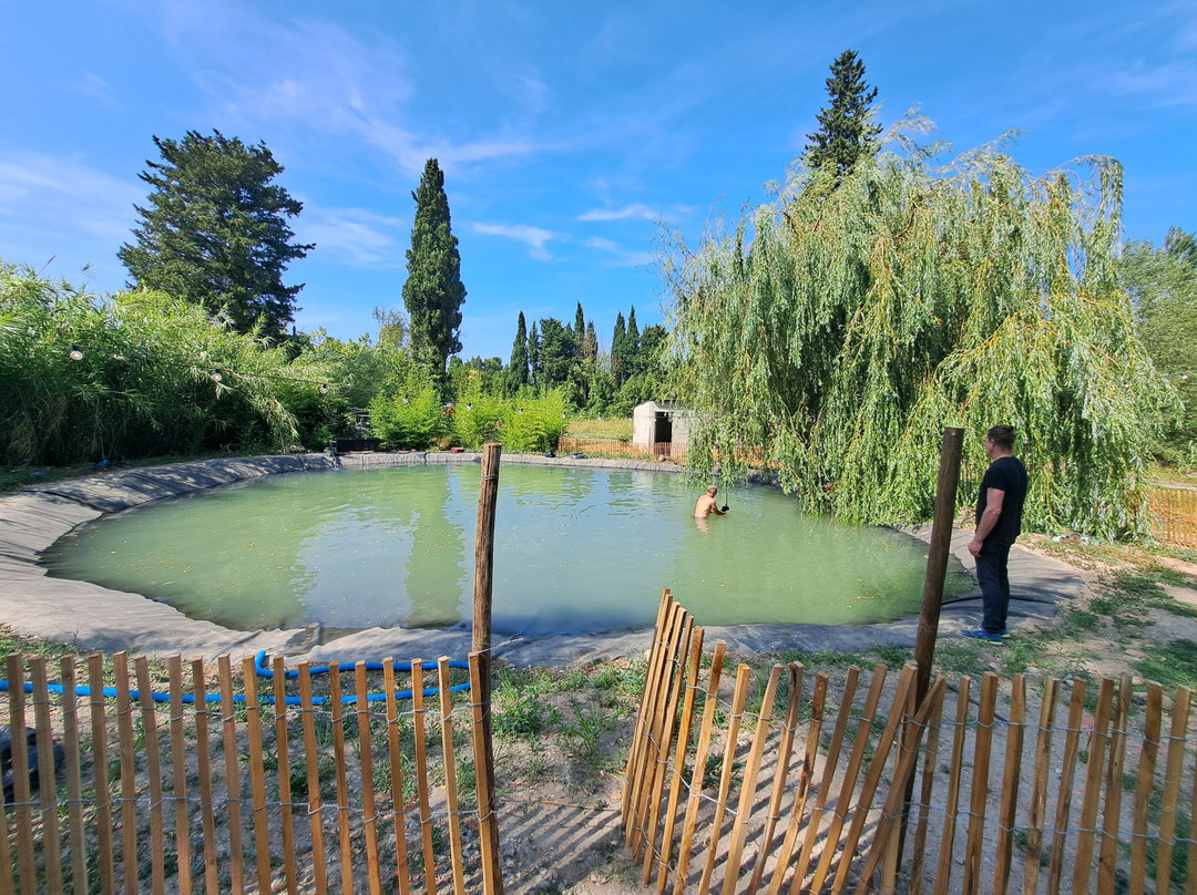 la guinguette