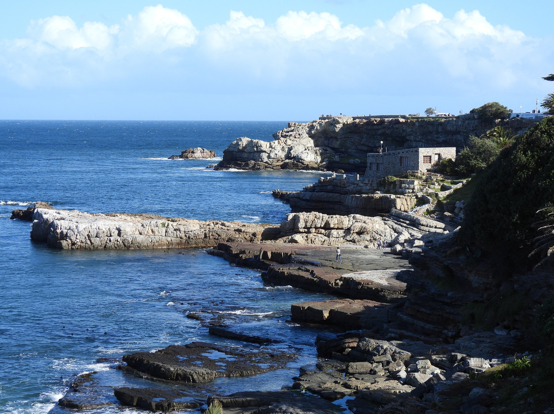 Cape Whale Coast-赫曼努斯必去景点