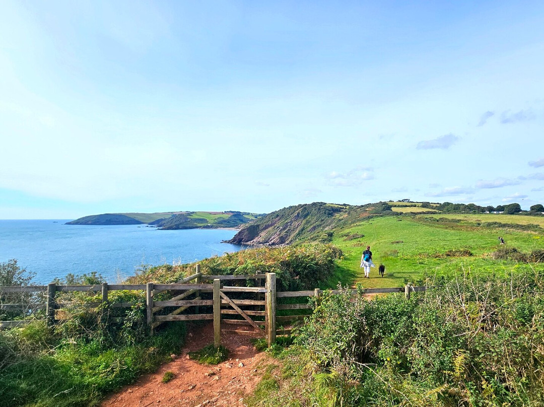 Sharkham Point