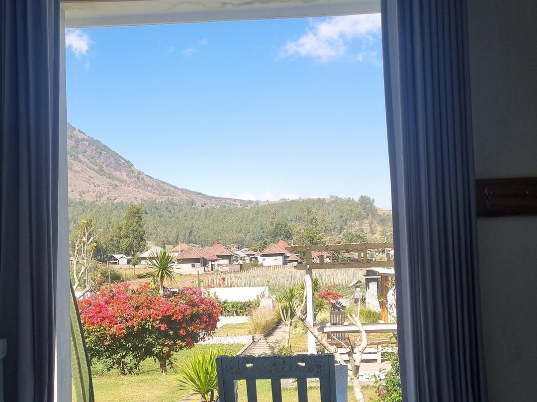 Host @ Volcano主图