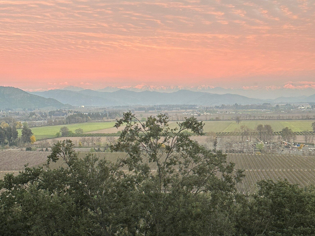 Colchagua D'vino主图