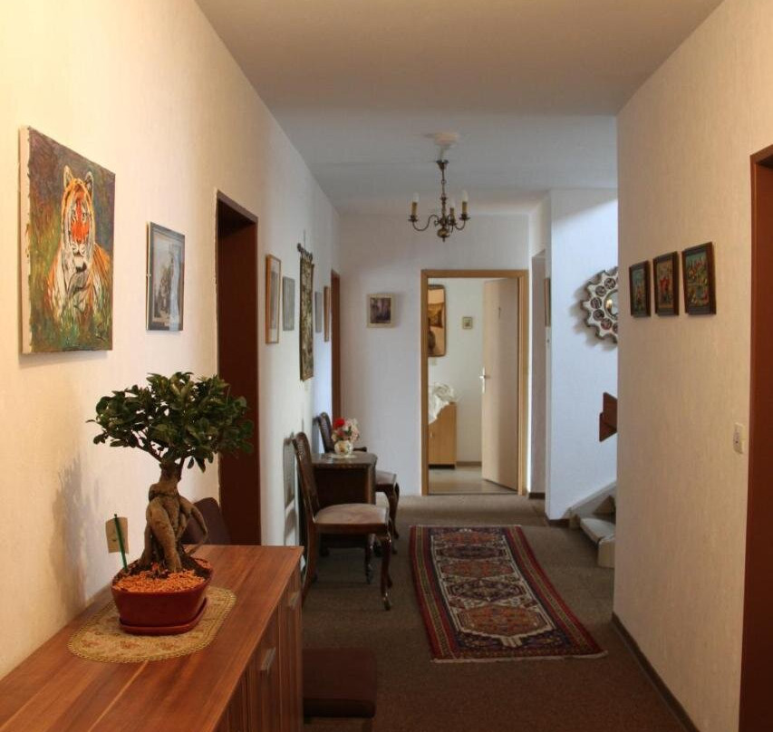 Hotel Humboldt主图