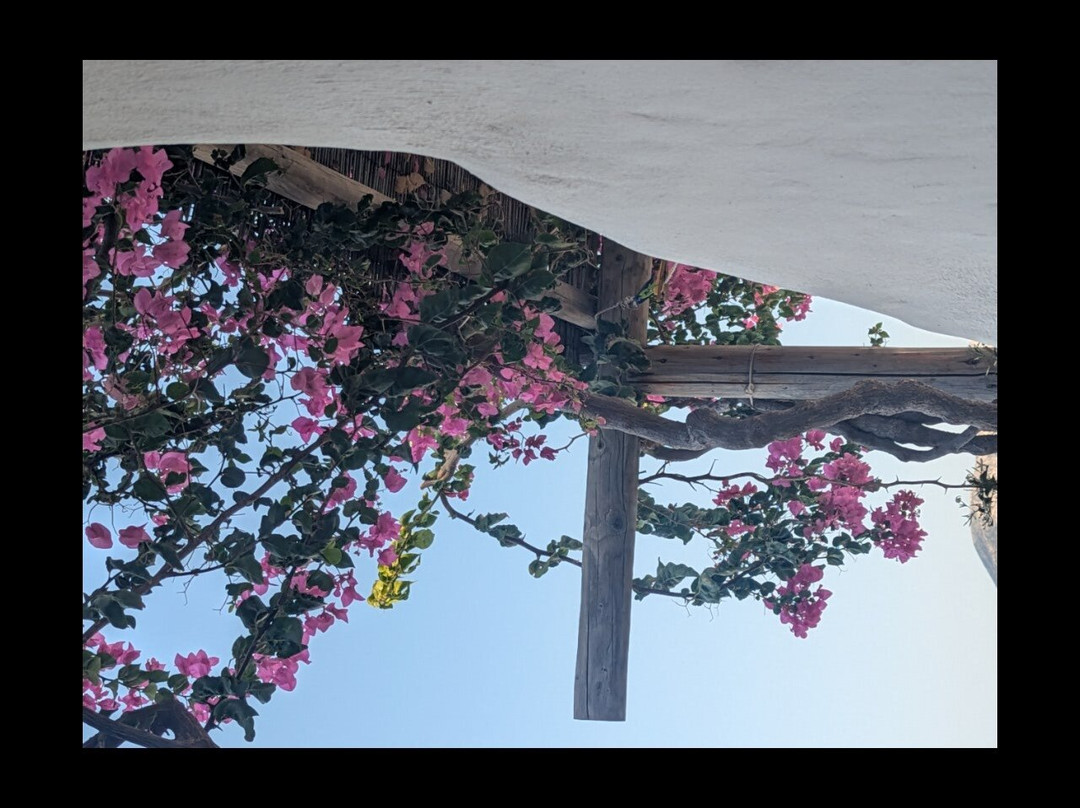 Apollon Koufonisia Studios主图