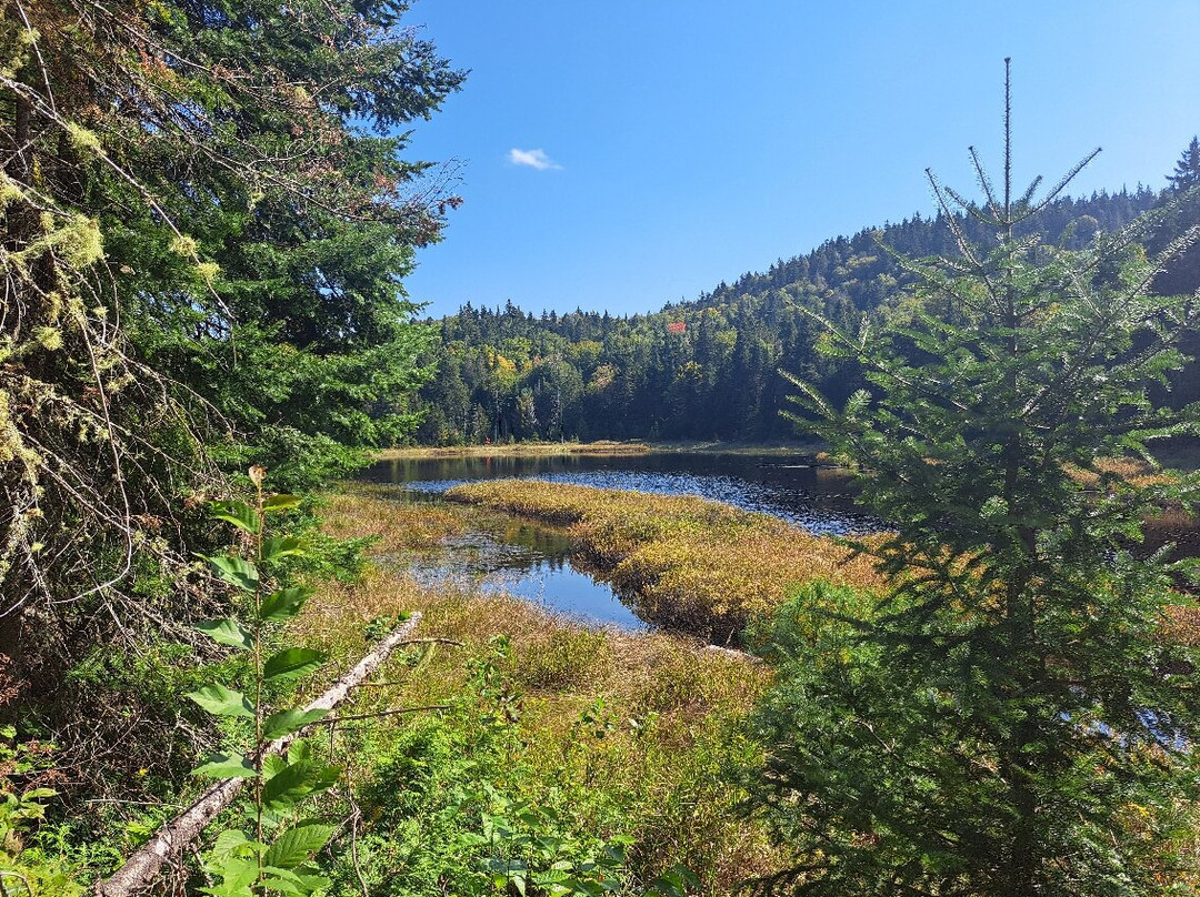 Parc national de la Mauricie景点图片
