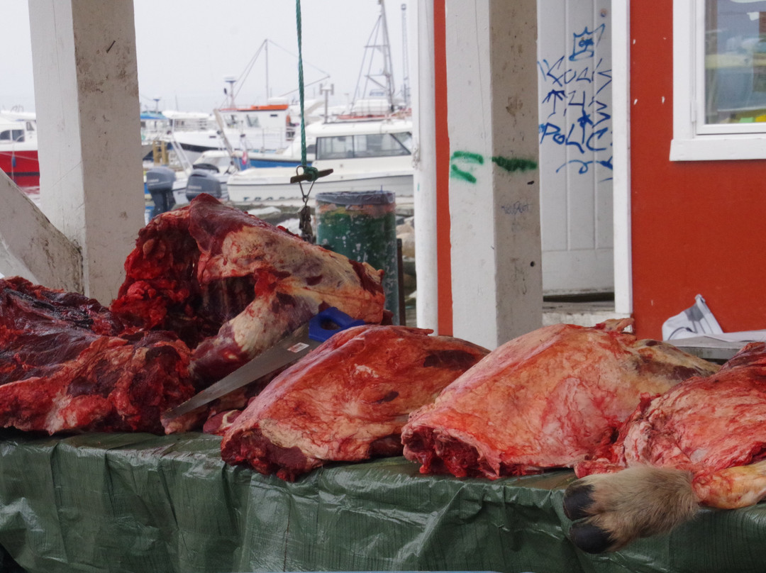The Fish Market-Qaqortoq必去景点