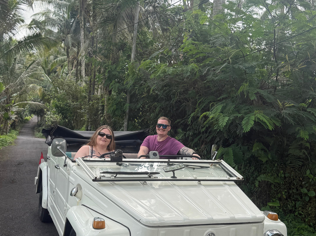 Bali Classic Tour - Private Day Tours-登巴萨必去景点