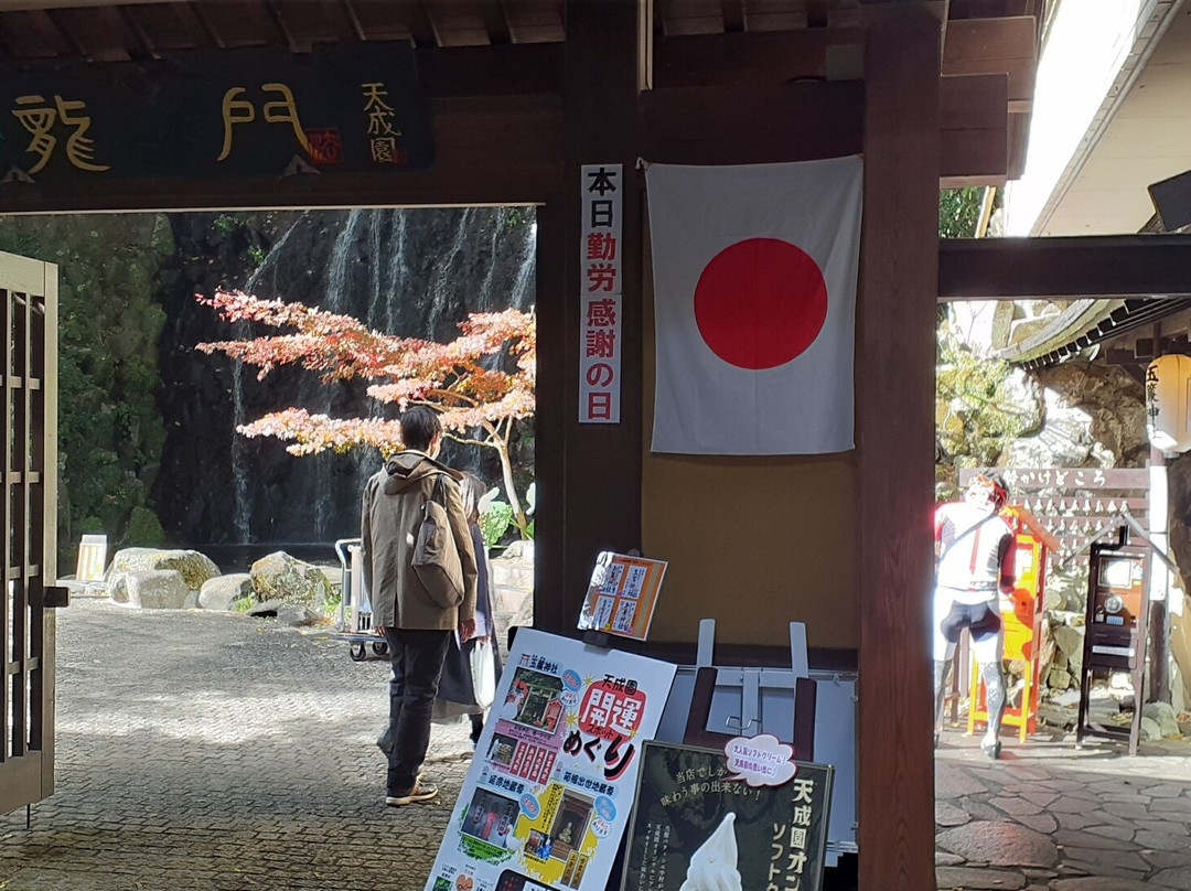 Tamadare Falls / Hien Falls-箱根町必去景点