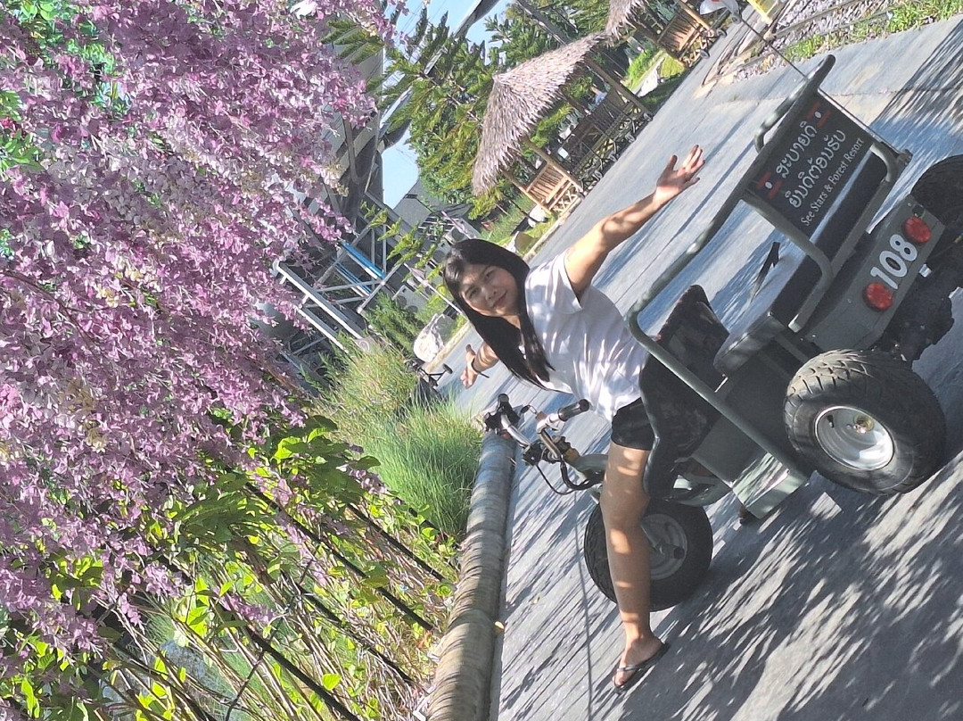 See Stars & Forest Resort