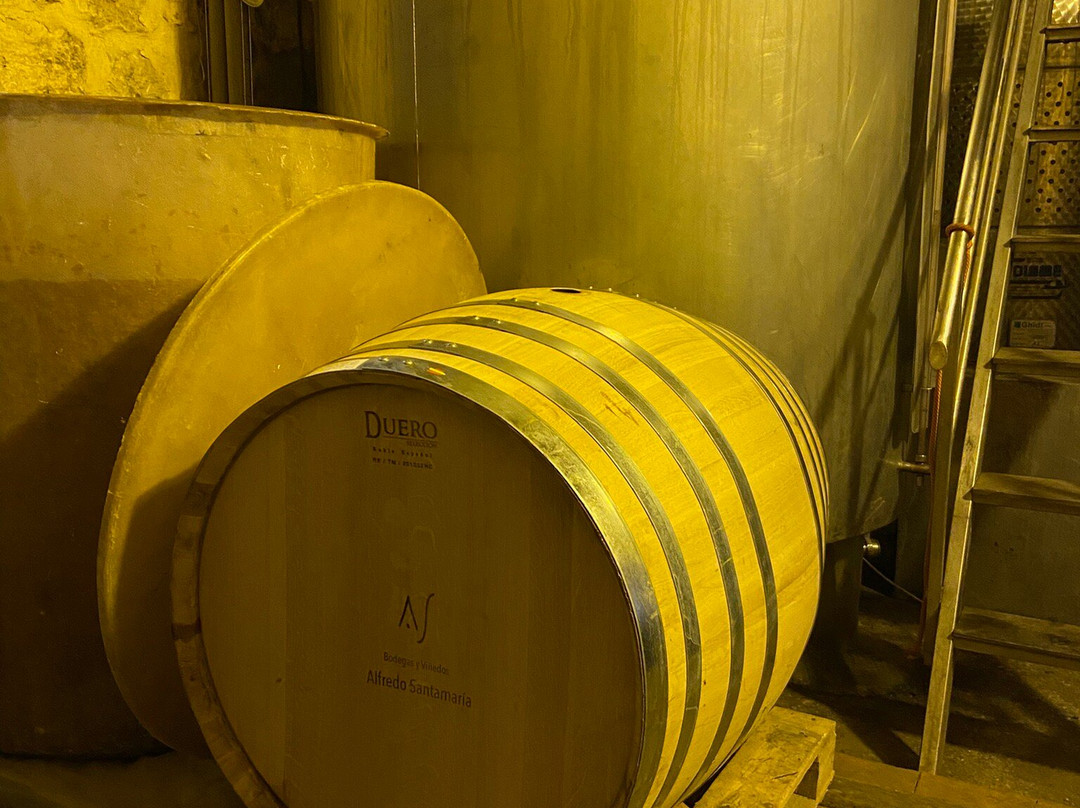 Pago de Trascasas主图