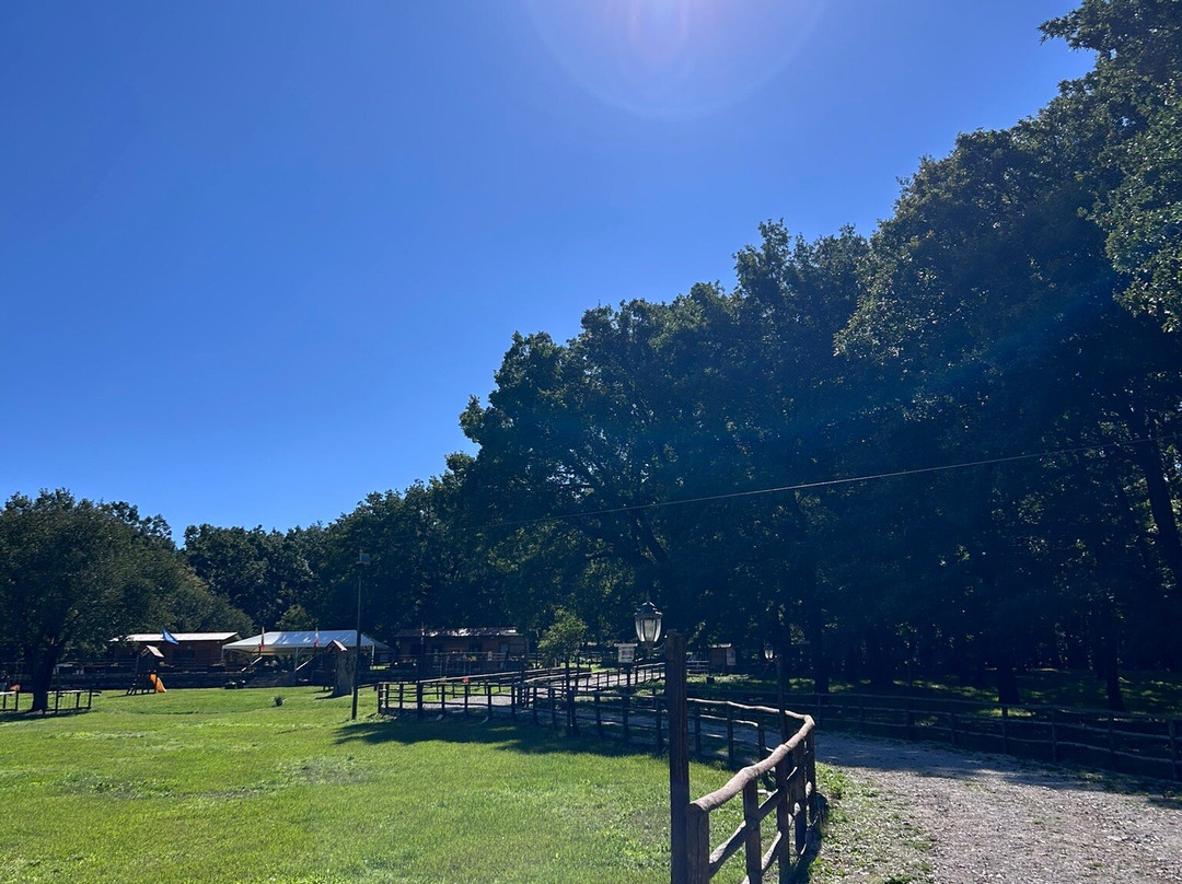 Parco Avventura Postiglione景点图片