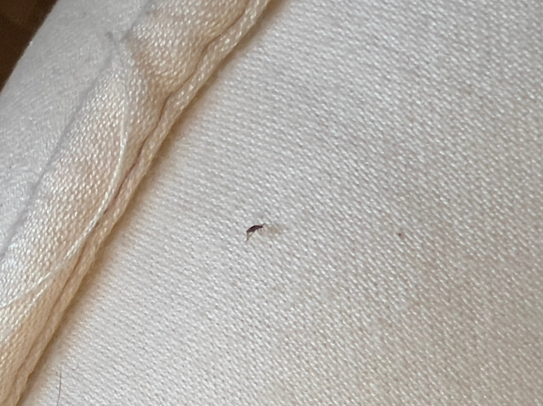 Tower Hotel Apartments主图