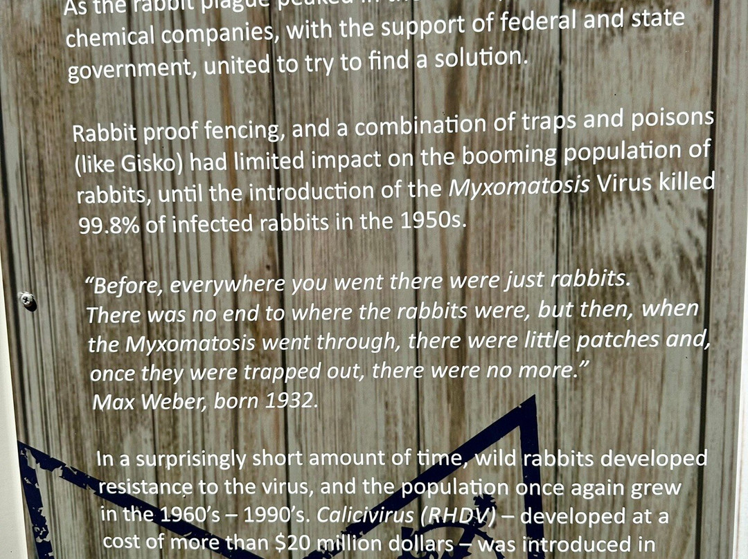 Texas Rabbit Factory景点图片