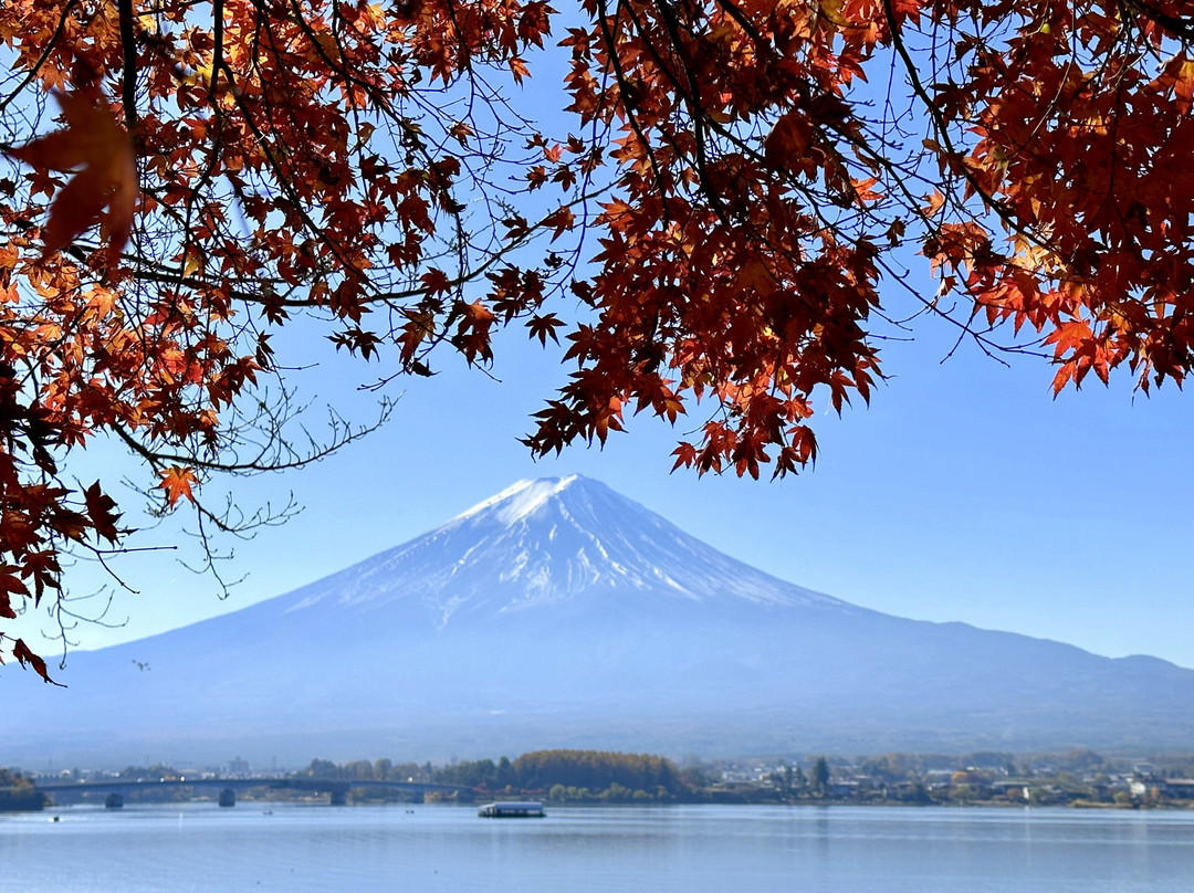 Fuji Lake Kawaguchi Koyo Festival景点图片