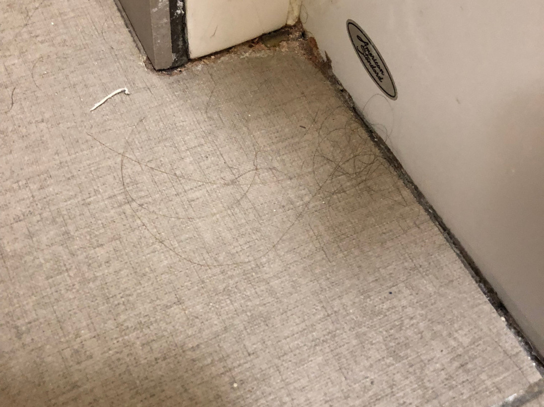 Comfort Suites主图