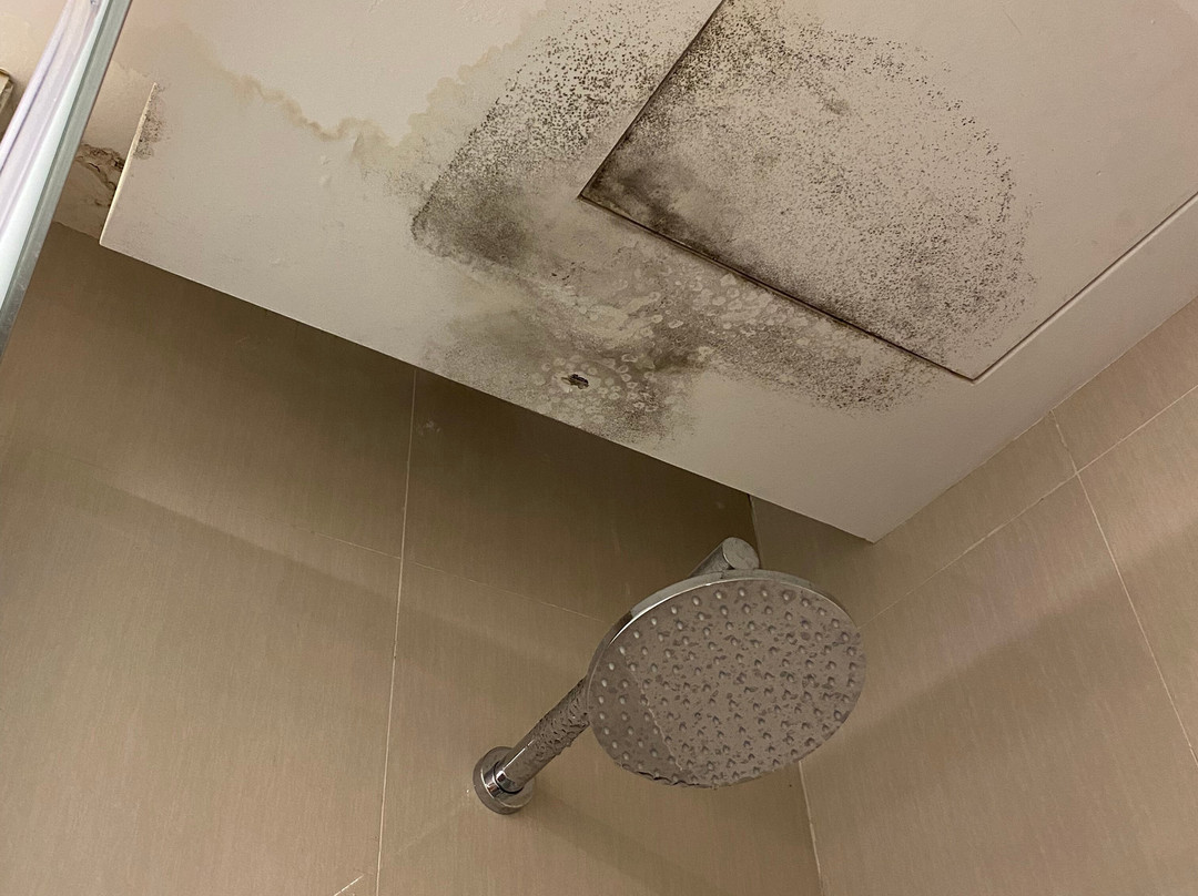 Casuarina Kuala Kangsar主图