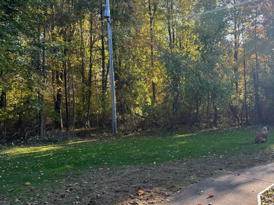 The Dunes Resort主图