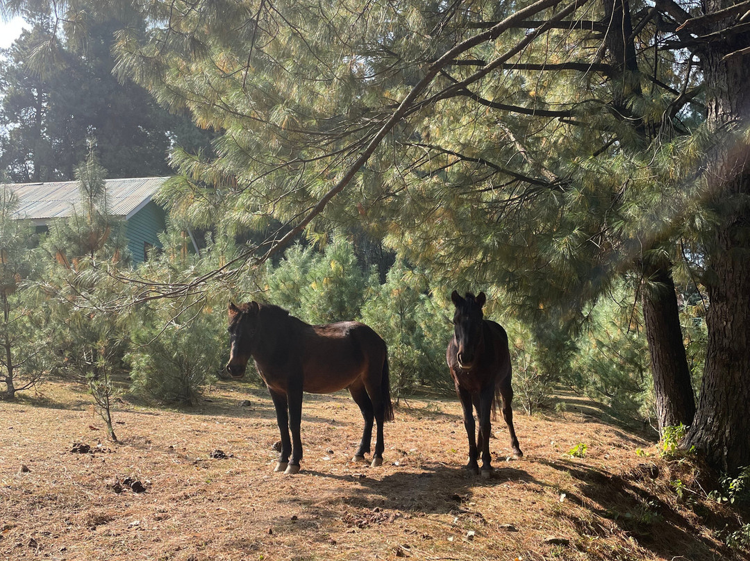 Wildfun Adventure Treks & Tours-帕哈甘必去景点