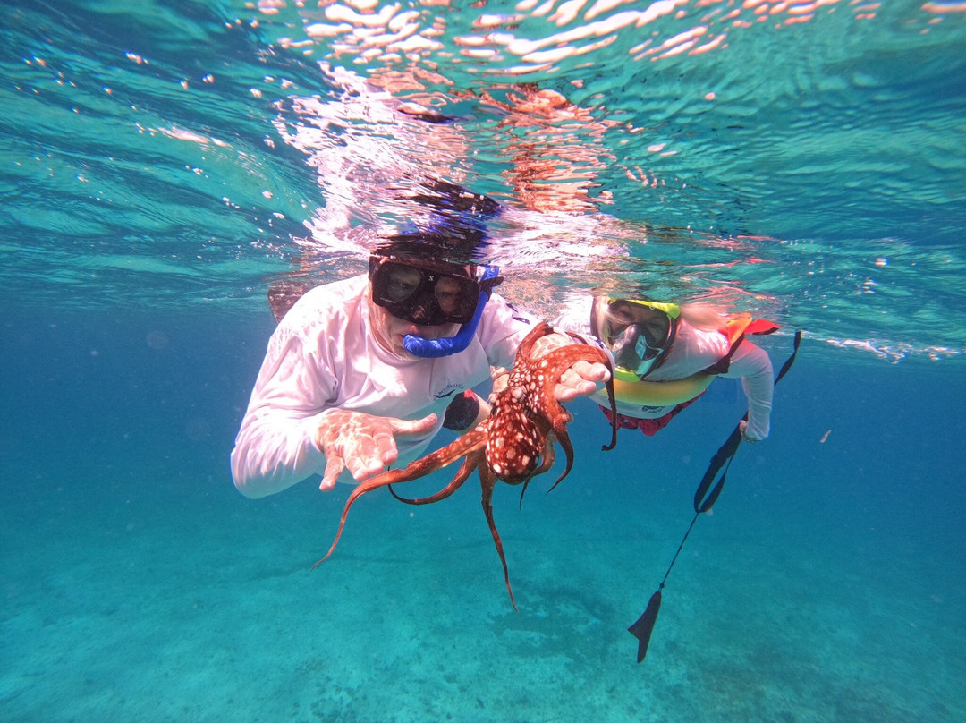 Coral Ocean Aruba-Malmok Beach必去景点