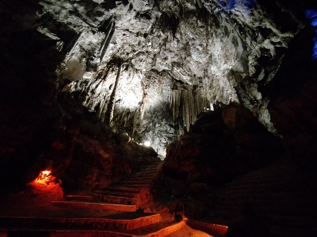 Cuevas de Arta