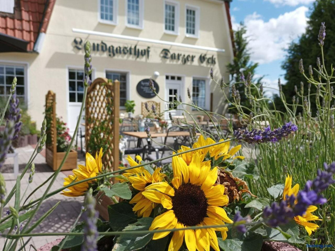 Pension "Darzer Eck"