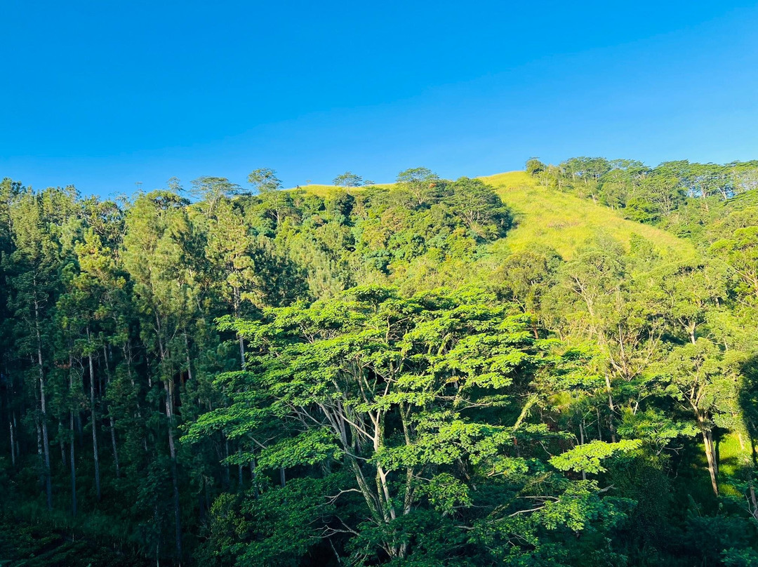 Bellwood Hills Resort & Spa主图