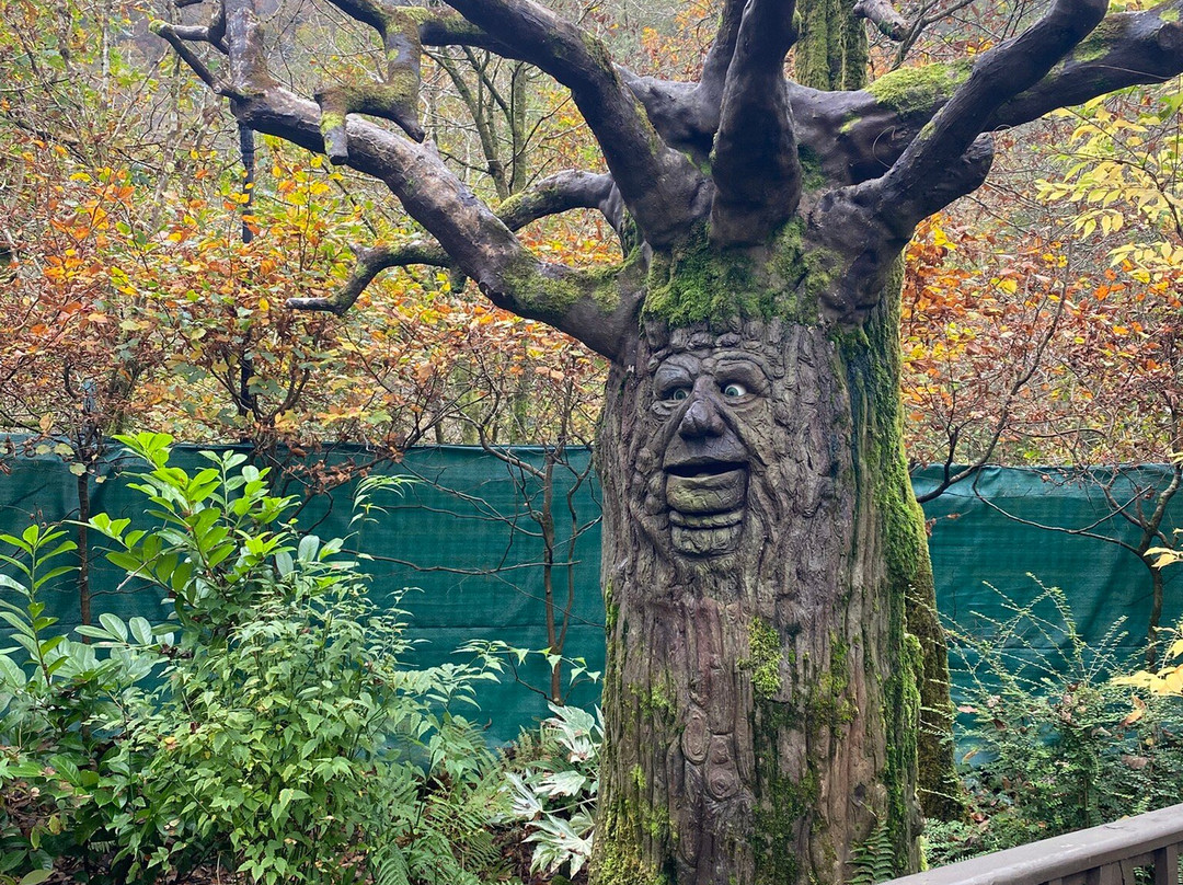 King Arthur's Labyrinth景点图片