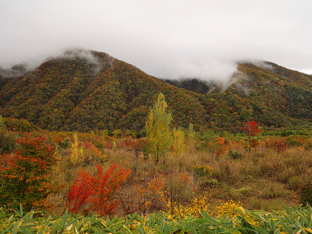 Kannonnuma Forest Park景点图片