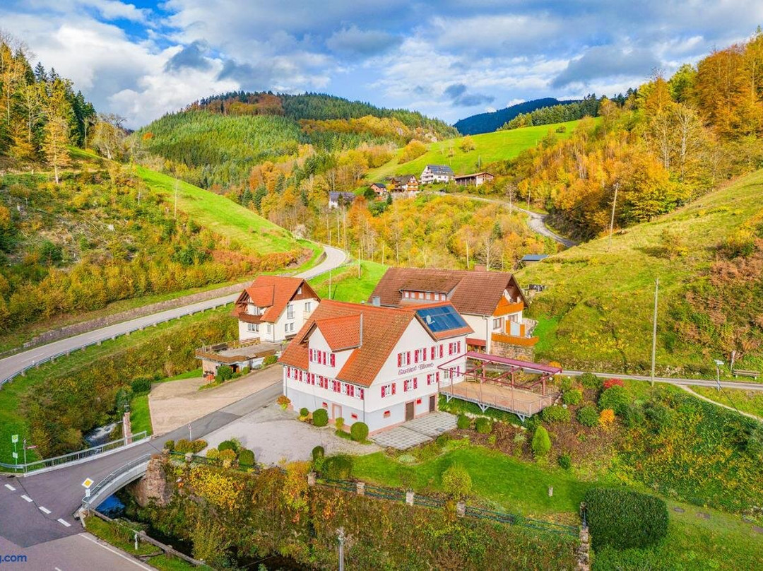 Hotel Gasthof Blume主图