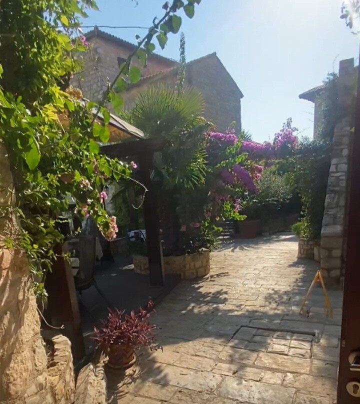 Hotel Palata Venezia主图