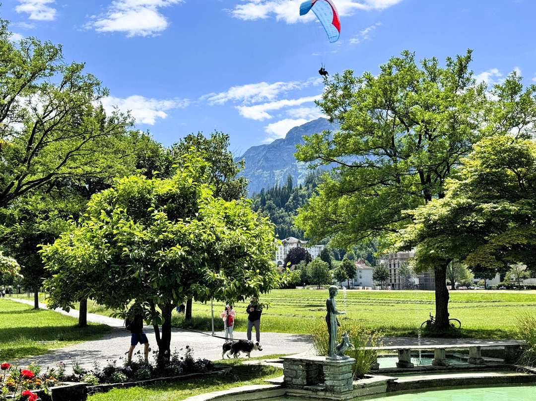 Hohematte Park-因特拉肯必去景点