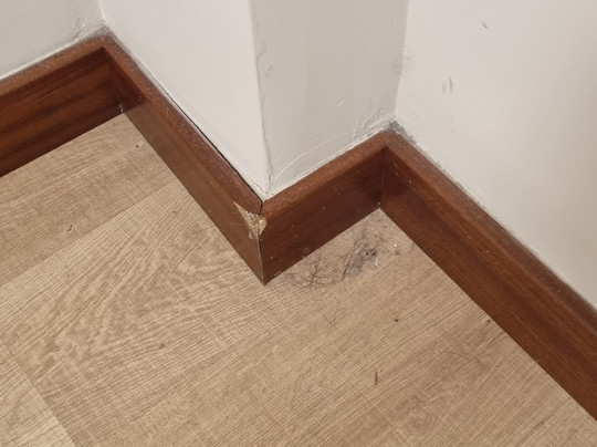 Habitat Center Los Girasoles主图