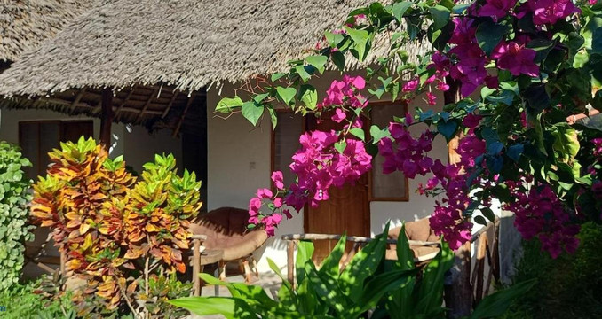 Morningstar Bungalows Zanzibar主图
