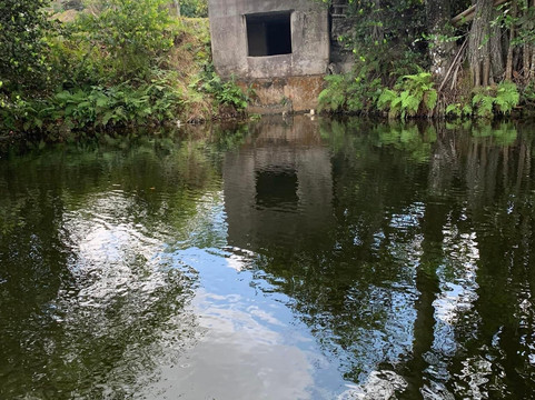 Swampdog Tours-韦斯顿必去景点